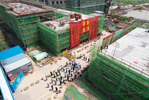 中鐵上海局承建安徽供銷樅陽農產品項目C16地塊主樓順利封頂，物資供銷協同助推鄉村振興